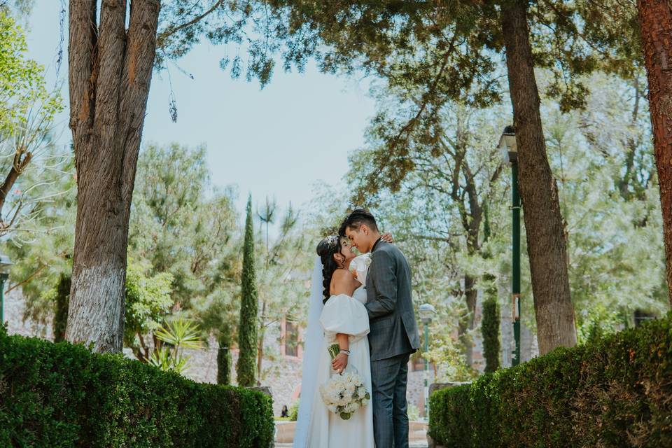 Pareja besándose en medio de una jardinera