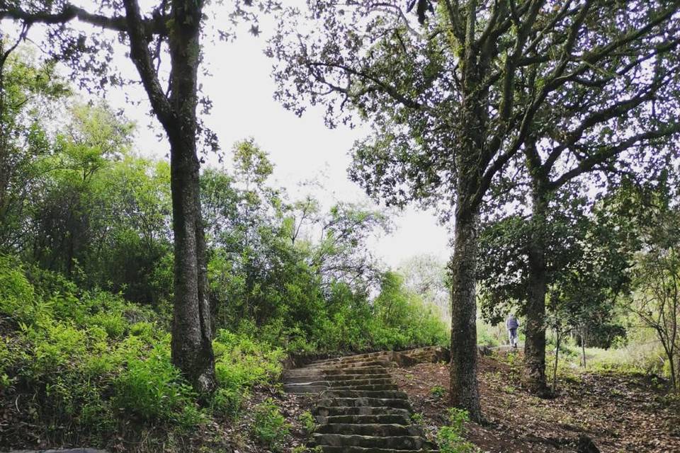 Escaleras externas