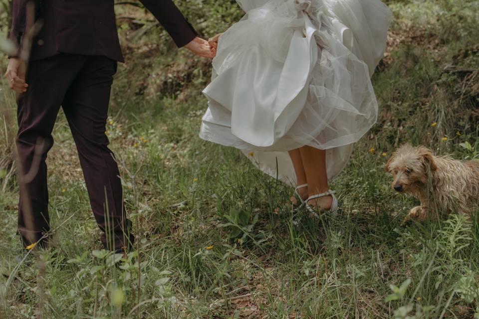 Trash The Dress