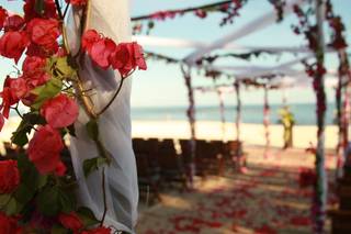 Luxury Weddings Mexico