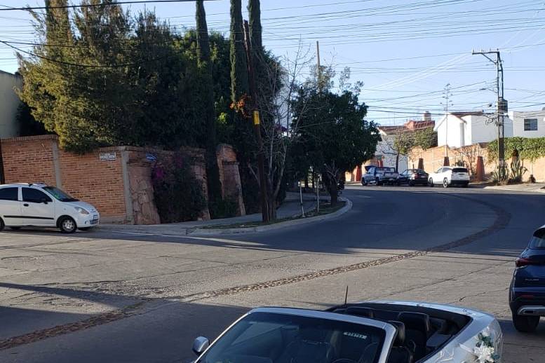 Mustang con arreglo floral