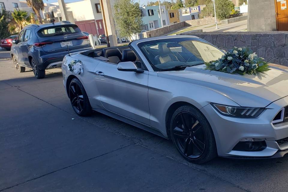 Mustang de lado