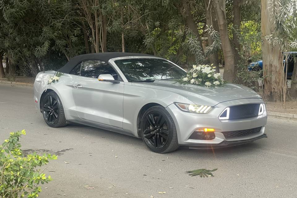 Mustang afuera De la Iglesia