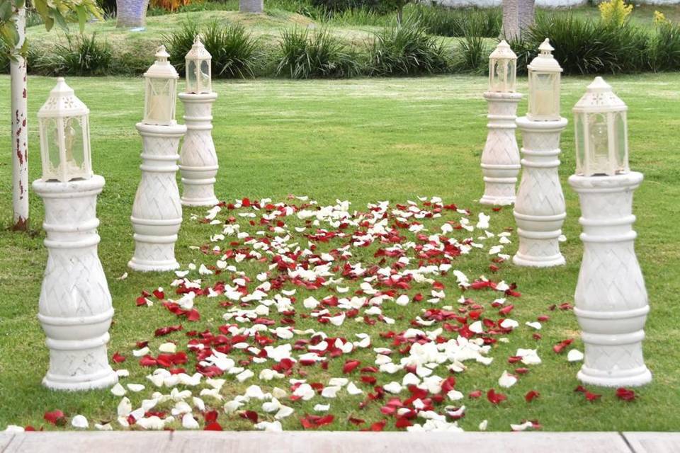 Entrada con petalos de rosa