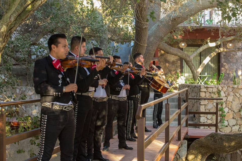 Mariachi