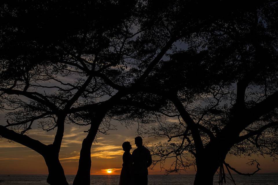 Atardecer y árboles