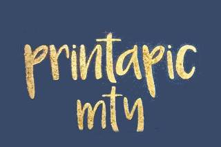 Pintapic logo