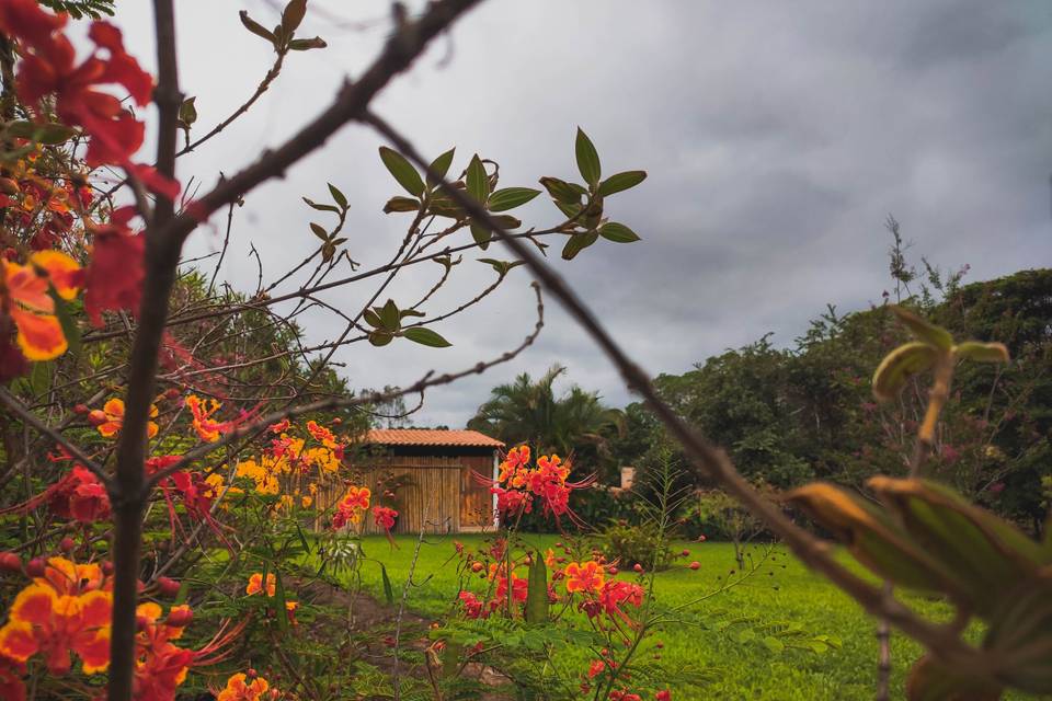 Vistas del jardín