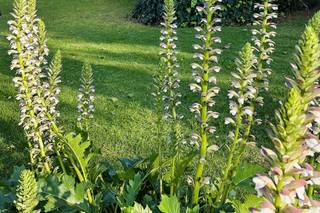 Hacienda Venta de Guadalupe