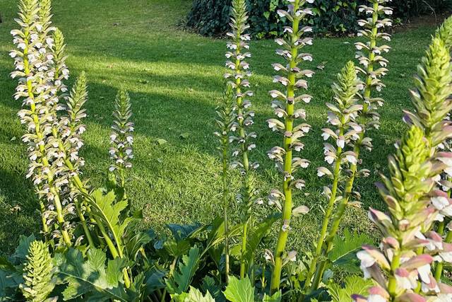 Hacienda Venta de Guadalupe