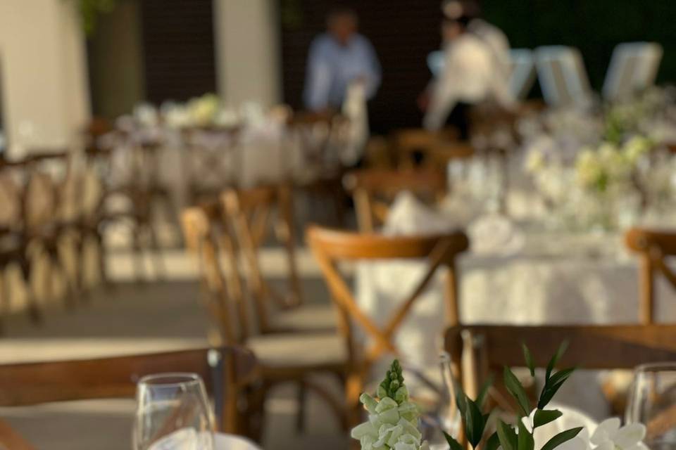 Terraza Trattoria