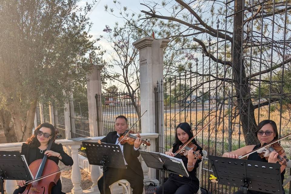Cuarteto clásico