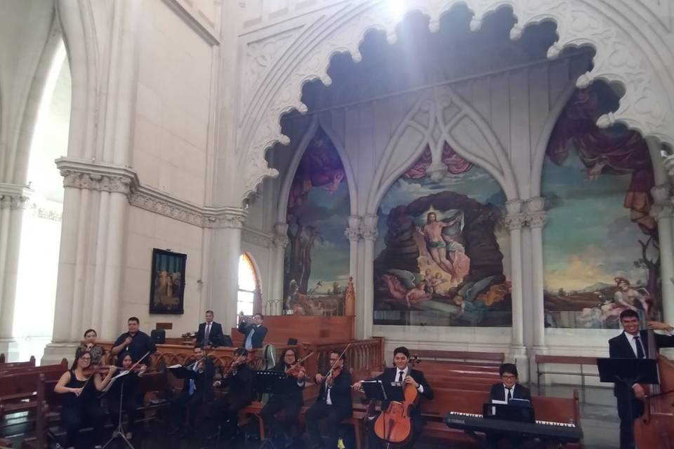 Orquesta de Cámara