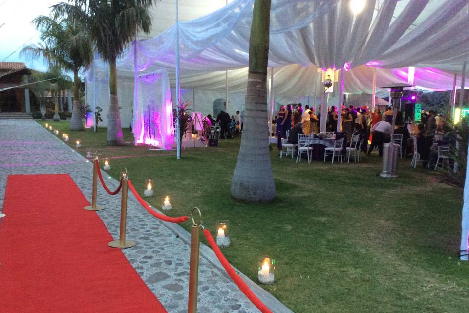 Velvet Eventos