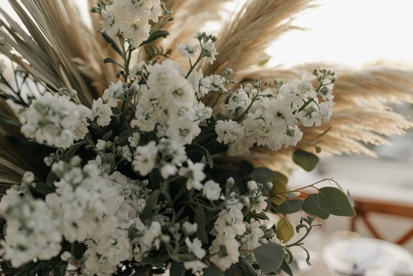 Flores únicas