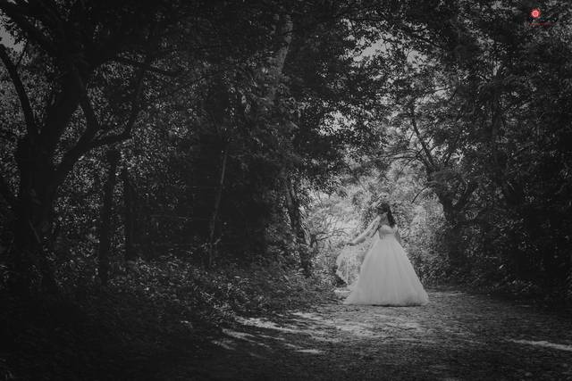 La luz de la novia