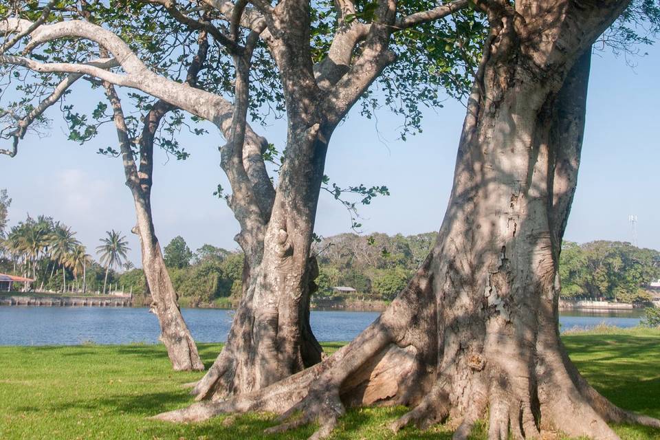 Jardín con vista al río