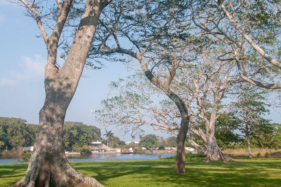 Jardín con vista al río