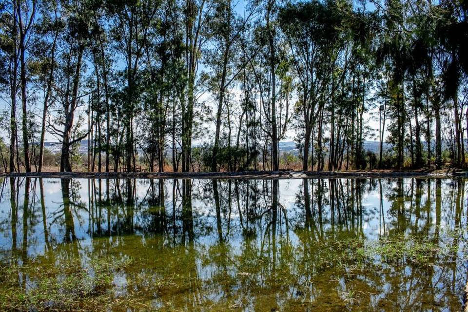 Hacienda del Lago