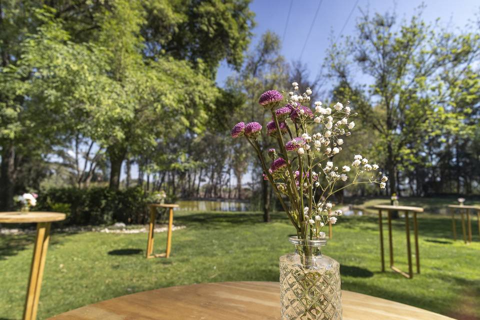 Jardin