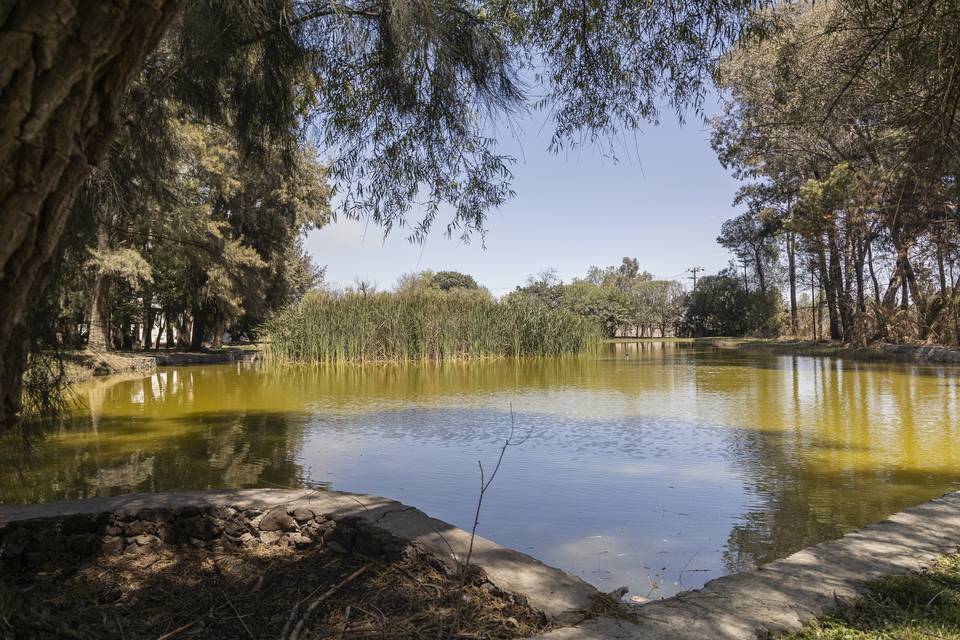 Lago