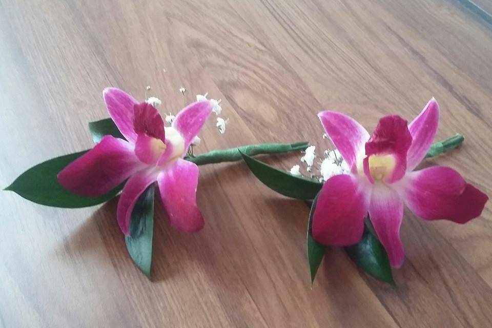 Boutonier dendrobium