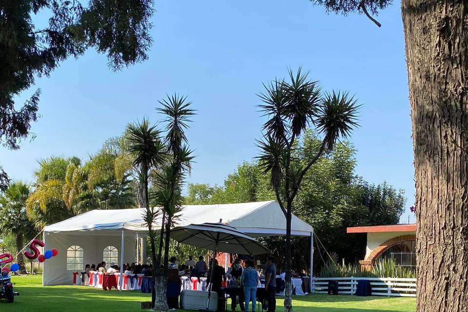 Carpa blanca en jardín