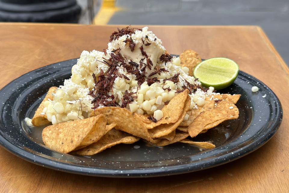 Tostiesquites