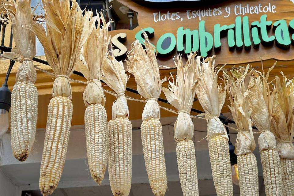 Local de elotes