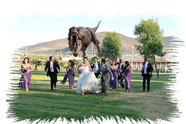 Tu boda divertida