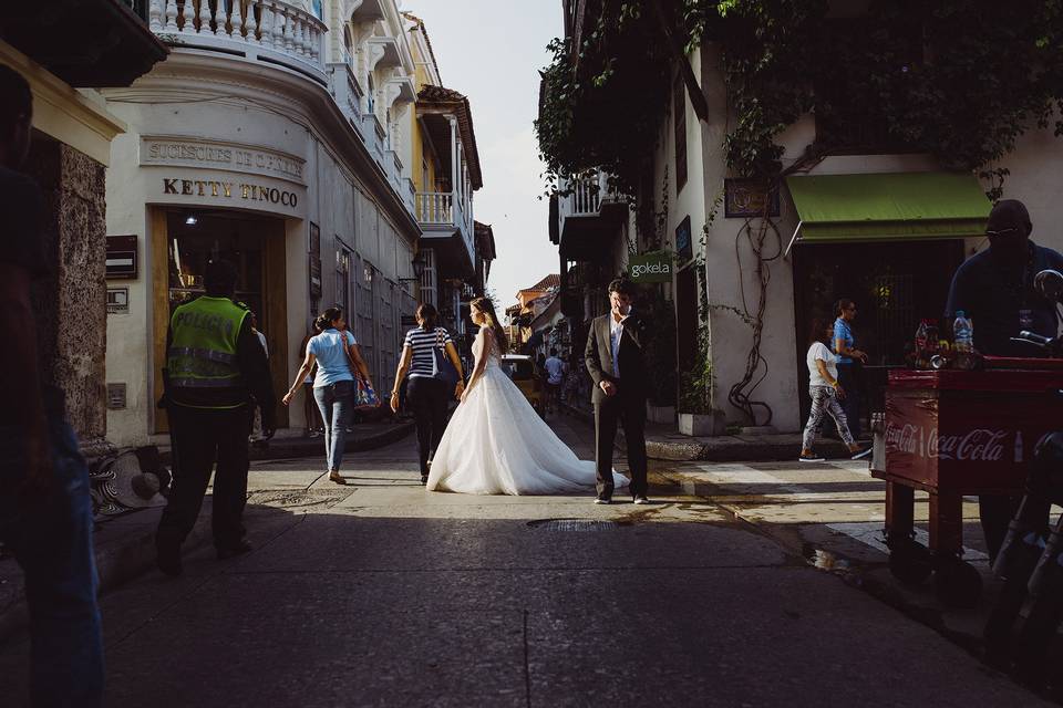 Trash The Dress