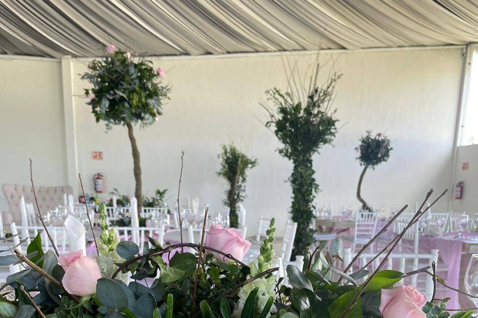 Benamati Eventos