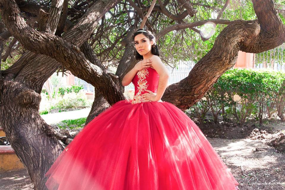 Capturando tu Historia