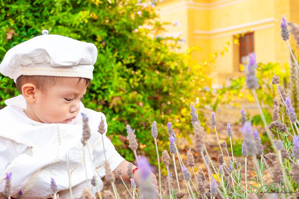 Capturando tu Historia