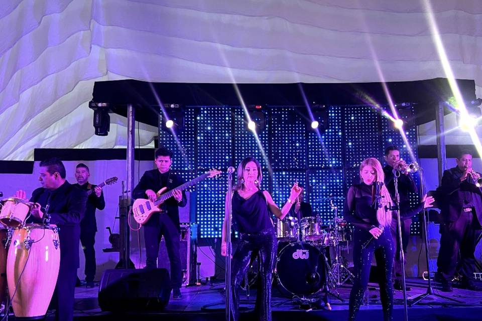 Grupo musical en vivo