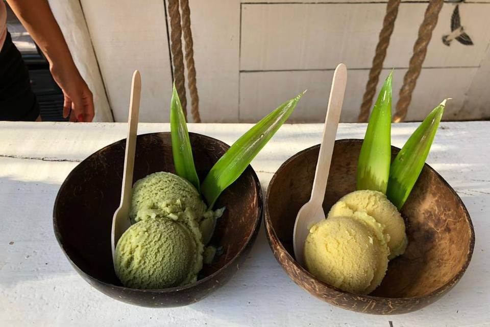 Helados veganos