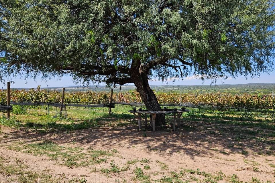 Espacio al aire libre para celebraciones