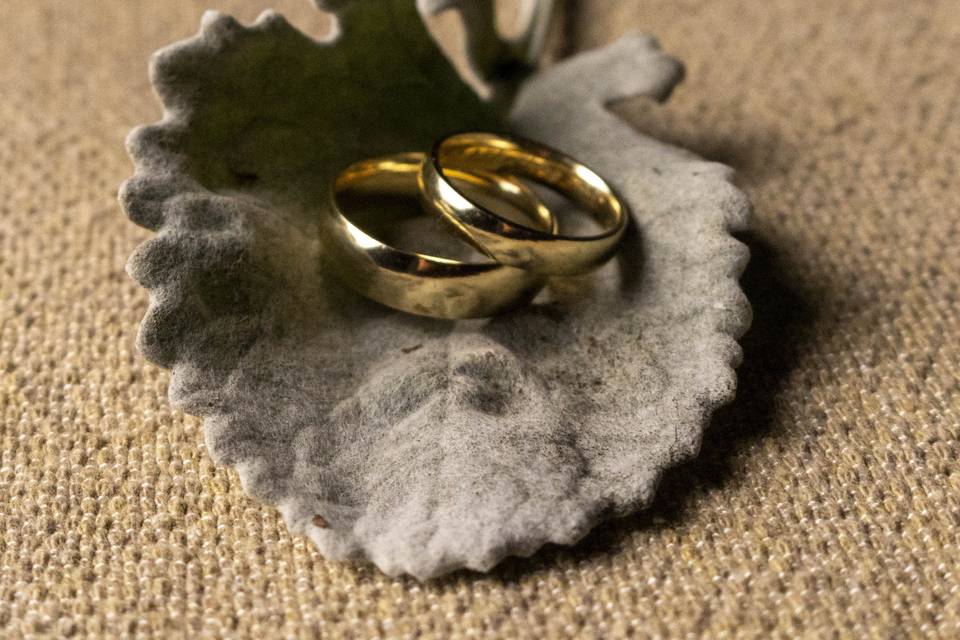 Anillos dorados