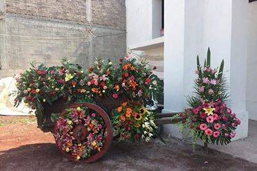 Carretra floral