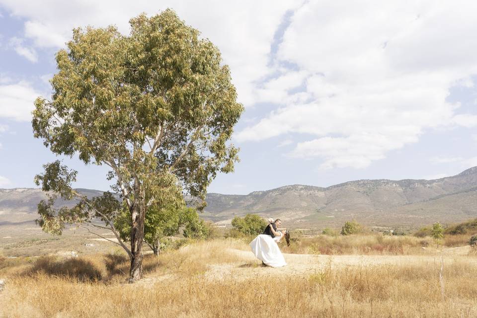 Trash the dress