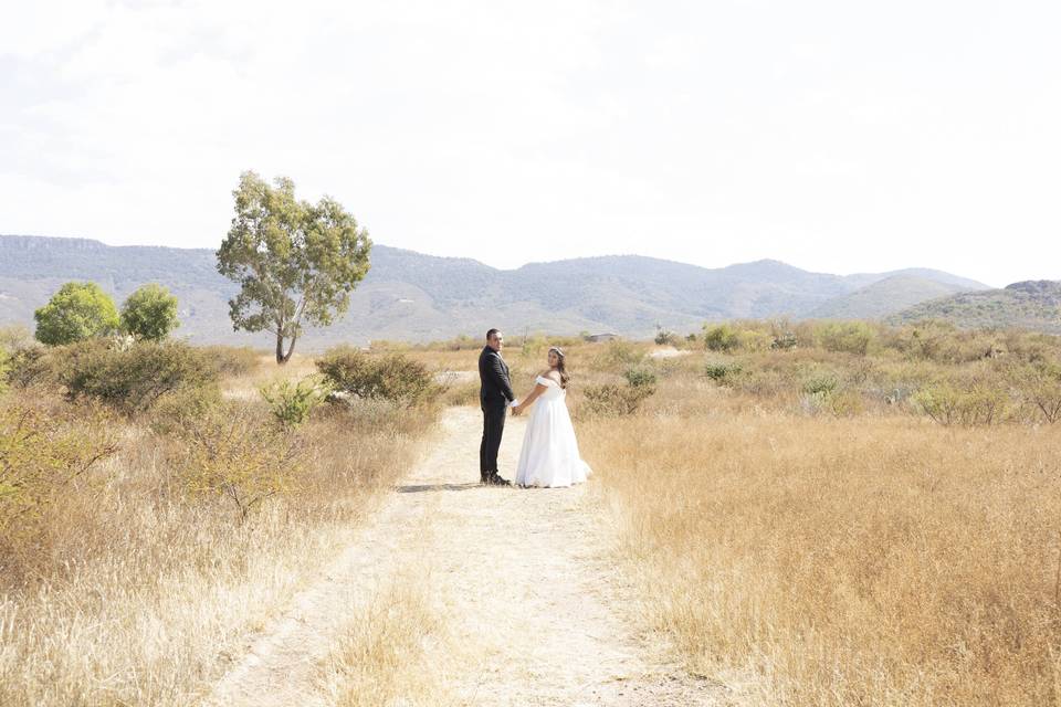 Trash the dress