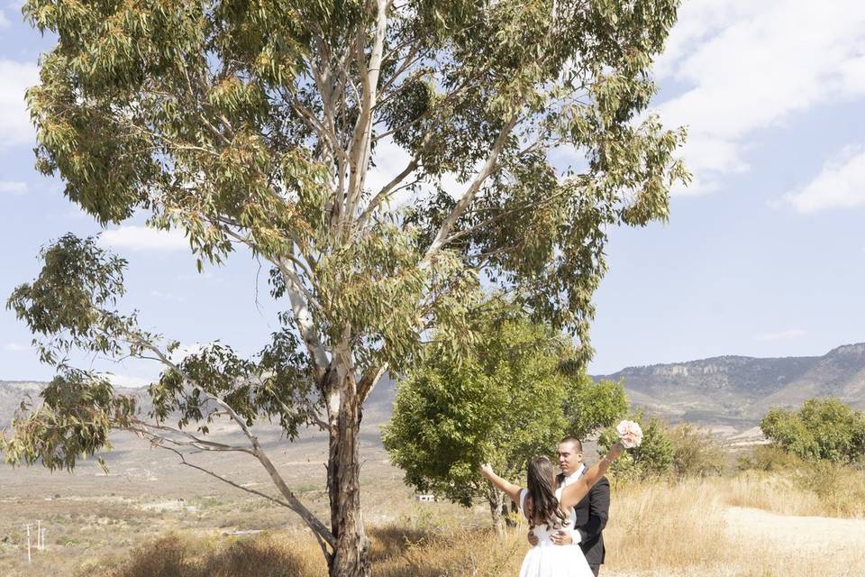 Trash the dress