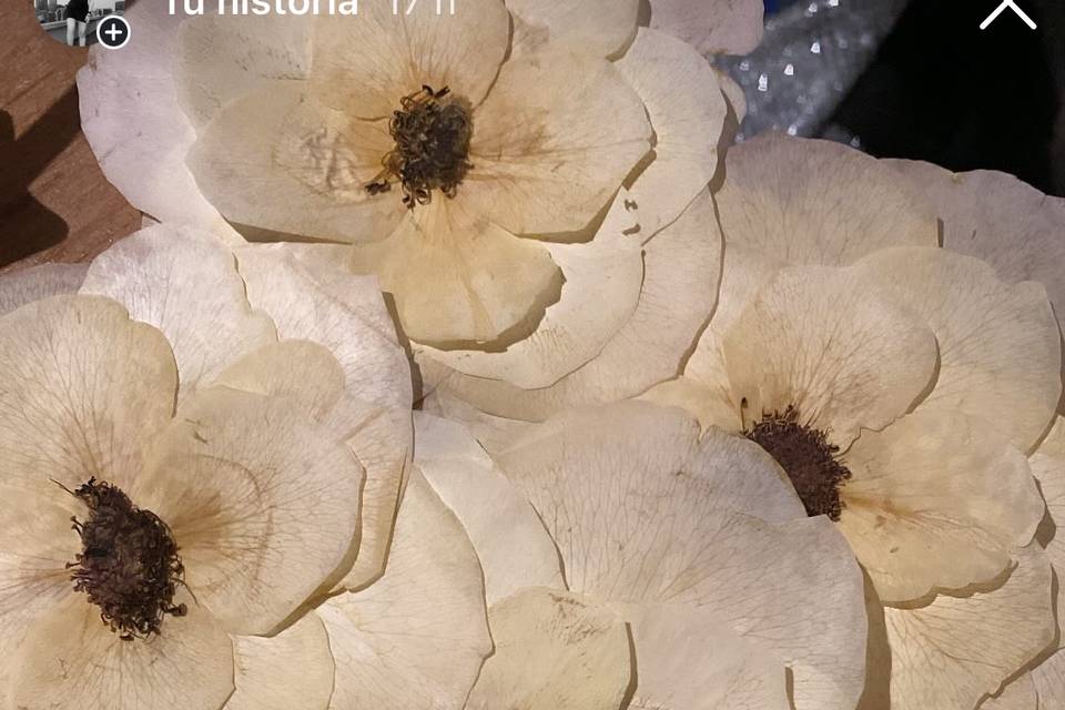 Rosas blancas