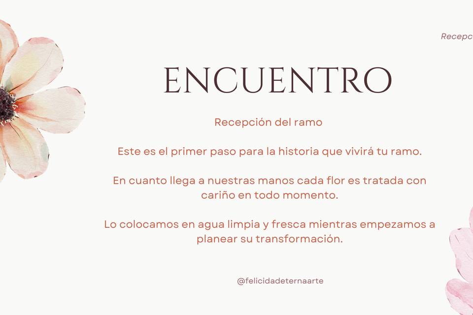 Encuentro