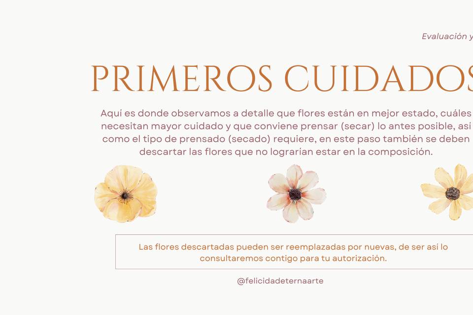 Primeros cuidados