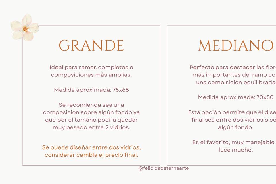 Tamaños grande/mediano