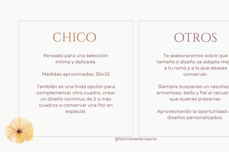 Tamaños chico/otros