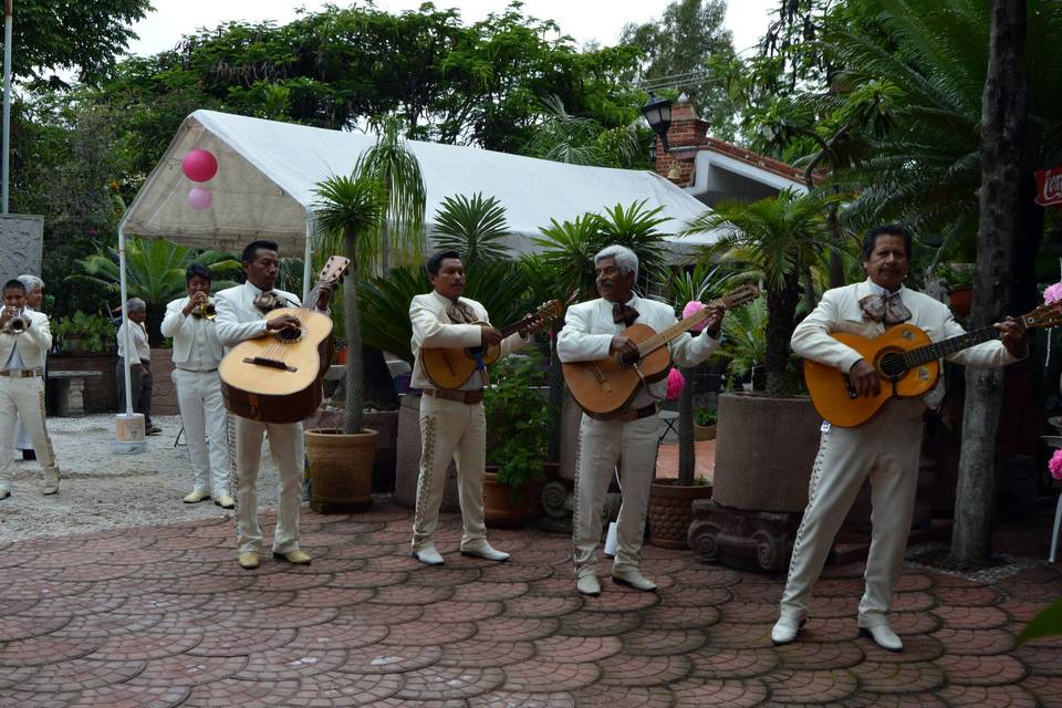 Mariachi