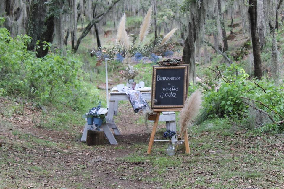 Montaje picnic en el bosque