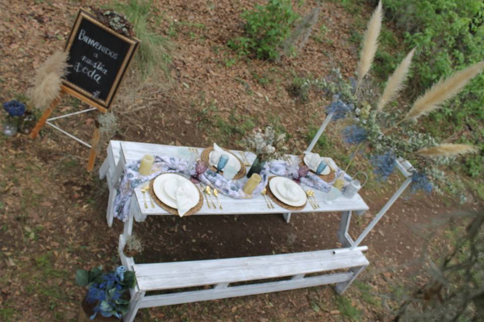 Boda picnic bosque